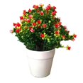 thumbnail image 1 of Artificial Flower Grass Plant Pot Bonsai Home Balcony Furniture Desktop Decor, 1 of 6