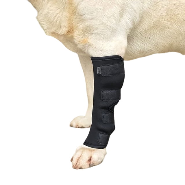 Dog Leg Brace - Medium Black Adjustable Hock Joint Sleeve - Post-Surgery Recovery Wrap with Compression & Anti-Licking - Includes 4 Magic Stickers (Size M)
