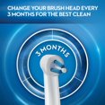 thumbnail image 2 of Oral-B Power Tip Electric Toothbrush Replacement Brush Head, 2 of 7
