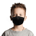 thumbnail image 1 of Respirator CA N95 Flat Fold Small (Adult or Child), 1 of 2