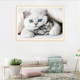 thumbnail image 1 of Graflsoa « Kit de Peinture Diamant Chat Bricolage - Art sur Toile 40x30 cm avec Strass et Outils Inclus », 1 of 7