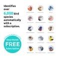 thumbnail image 2 of Birdfy Smart Bird Feeder with Camera for Bird Feeding and Watching - 1.5 lb Capacity, Blue, 2 of 10