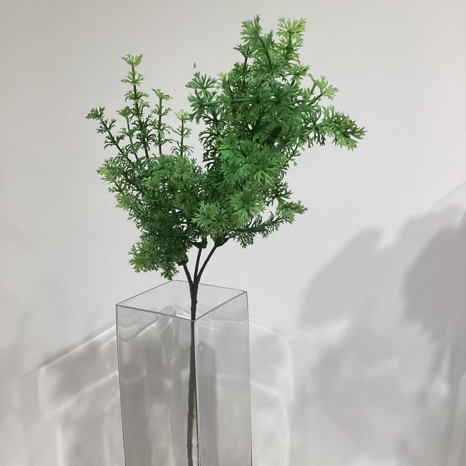 Parsley Spray