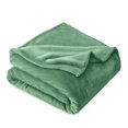 thumbnail image 1 of Bare Home Microplush Fleece Blanket - 300 GSM - Fuzzy Microfleece - Soft & Plush - Throw/Travel, Meadow, 1 of 5