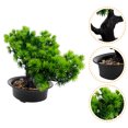 thumbnail image 1 of OULII Simulation Bonsai Tree Faux Bonsai Tree Green Plastic 1Pack, 1 of 5