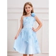 thumbnail image 2 of Jhaoyu Robe de Demoiselle d'Honneur pour Enfants, Satin Brodé, Concours, Bal, Fête Formelle, Tulle, Tutu, Robe de Bal, Bleu Pâle 12, 2 of 7