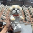 thumbnail image 1 of Papier Toilette pour Chien Hundeppierhalter, 1 of 4