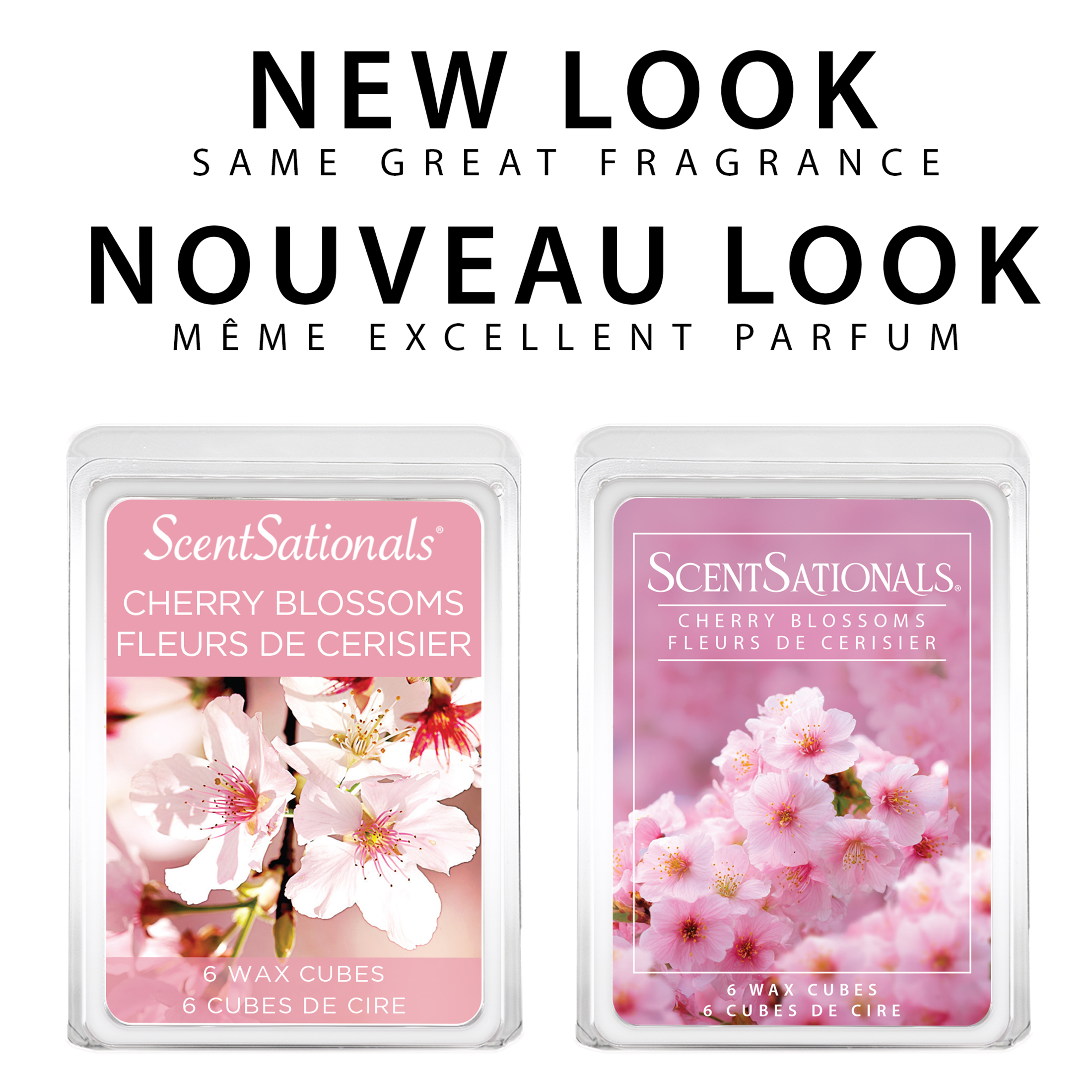 ScentSationals Scented Wax Cubes - Girlfriend Night