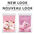 thumbnail image 2 of Cubes de cire parfumée Paquet économique ScentSationals - Fleurs De Cerisier, 2 of 6