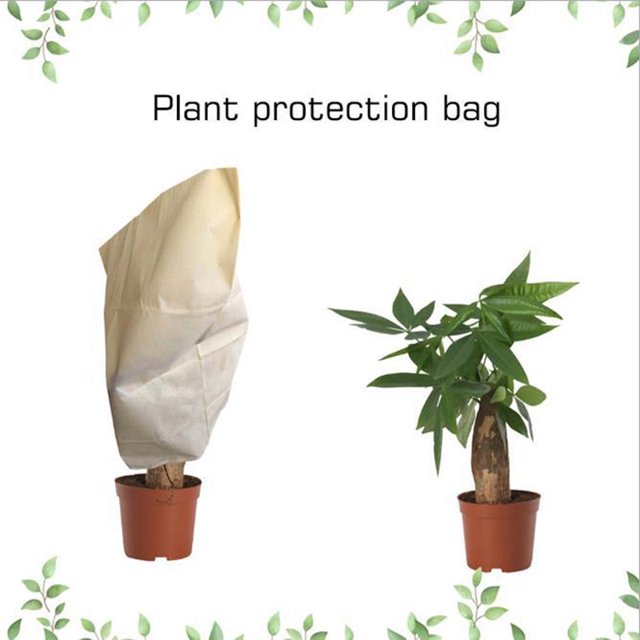 Housse de Protection Anti-Gel pour Plantes en Pot de Jardin d'Hiver Extérieur