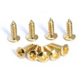 thumbnail image 3 of MasteelfCA 50 Pcs Vis de Protection pour Médiator de Basse de Guitare pour Guitare ST TL SG LP (Doré), 3 of 3