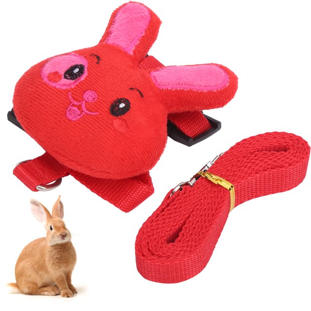 Harness Set Durable Nylon, Made Of High-quality Nylon Pet Leash Chest Back Set For Small Pet For Outdoor