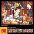 thumbnail image 4 of Kodak 1000 pieces Casse-Têtes Library Mischief, 4 of 5