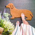 thumbnail image 1 of Dachshund Coffre en Lin Paillasson, 1 of 2