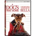 thumbnail image 1 of le Chemin du Chien (Bilingue) [DVD], 1 of 1