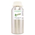 thumbnail image 1 of 16 fl oz - Litsea Cubeba Essential Oil (100% Pure & Uncut), Aluminum Bottle - GreenHealth, 1 of 1
