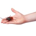 thumbnail image 2 of Robo Alive Crawling Cockroach, 2 of 8