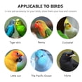 thumbnail image 3 of MasteelfCA 2Pcs Protective Parrot Collars Anti-pecking Collars Bird Recovery Collar Rings, 3 of 7