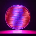 thumbnail image 4 of DAMAIE Plant Growth Light 80W LED Lamp Flowering Grow Bulb Red Horticultural Growth Lamp, 4 of 4