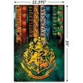 thumbnail image 2 of The Wizarding World: Harry Potter - Emblèmes de maison, 2 of 4