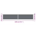 thumbnail image 4 of vidaXL Auvent Latéral Rétractable Anthracite 220x1200 cm, 4 of 5