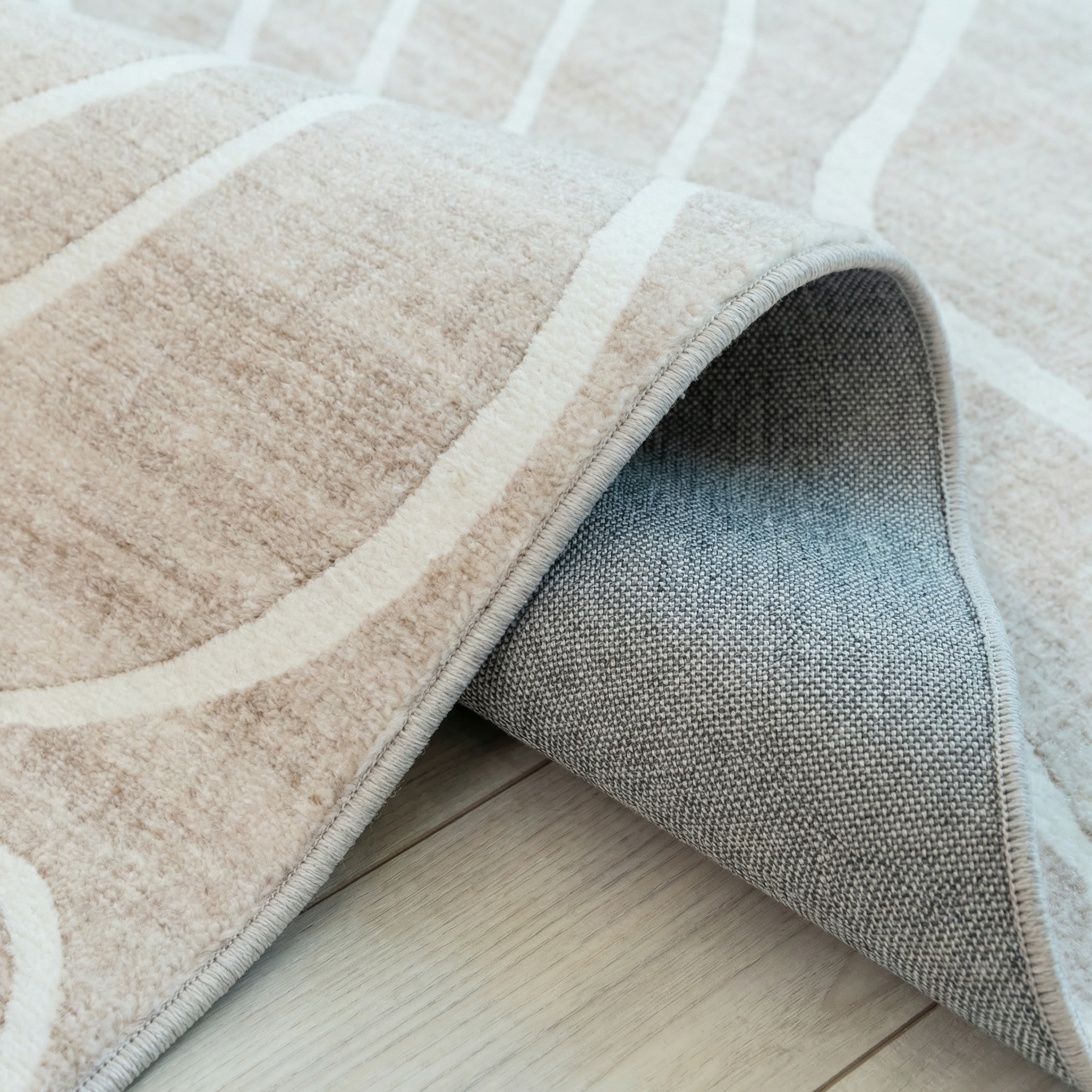 Minimalist Modern Abstract Indoor Area Rug