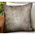 thumbnail image 2 of Plutus Coussin de Luxe Extérieur/intérieur Double Face Ciel Brun 18 Pouces x 18 Pouces, 2 of 3