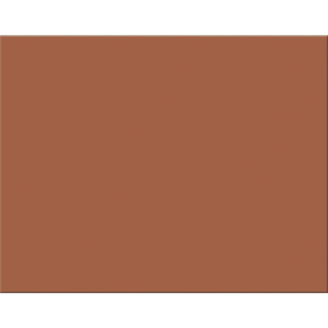 PACON 4 PLY RR POSTER BOARD 25 SHT BROWN 54691
