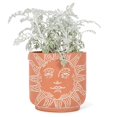 thumbnail image 3 of Sun Face Planter, 3 of 4