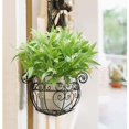 thumbnail image 3 of Artificial Morning Glory Home Decoration White White Plastic (1X Artificial Morning Glory), 3 of 3