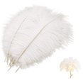 thumbnail image 2 of 10 Pcs Natural Ostrich Feather Craft Plume - For Wedding Centerpieces Home Decoration (White), 2 of 4