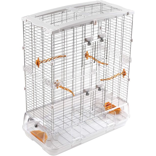 Modèle de Cage à Oiseaux Olive Moyen