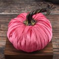 thumbnail image 3 of Velvet Pumpkins Home Decoration，Handmade Velvet Pumpkins Decor forFall Decorations for Home Kitchen Table Indoor Outdoor Friendsgiving Party Decor, 3 of 3
