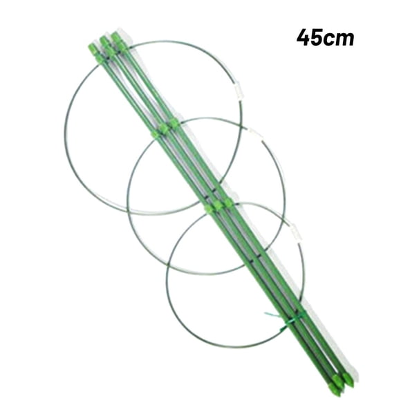 Allume 2Pack Plant Support Cage Rust Resistant Garden Plant Support Ring Plant Stake Plant Support for Tomato, Trellis, Climbing Plant, Flower Green