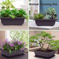thumbnail image 5 of Plastic Plant Pot Rectangular - 6PCS Planter Pot Flower Pot with 6PCS Drip Tray, 5 of 5