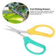 thumbnail image 2 of HURRISE Curved Blade Grape Pruning Shears, Bonsai Shears,Curved Blade Grape Pruning Shears Stainless Steel Bonsai Shears Fruit Branch Picking Scissors, 2 of 9
