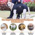 thumbnail image 4 of BeesClover Dog Lift Harness Backpack Carrier for Medium and Large Dog with Handle, Neck Pad, Reflective Webbing, Breathable Mesh Rehabilitation Carrier for Old Joint Injuries, 4 of 8