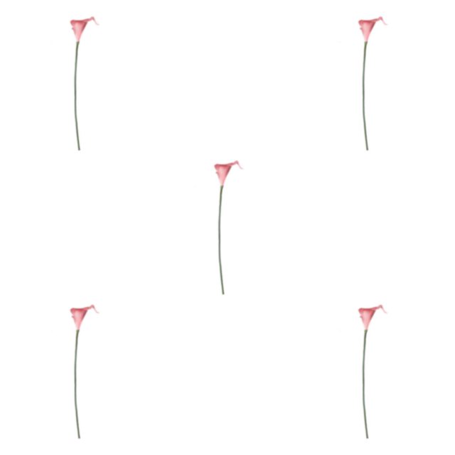 kurtrusly Wedding Decor With Simulated Calla - Choose Variety Of Colors And Styles With High 3D And Simulation Durable PU Tender pink 5PCS