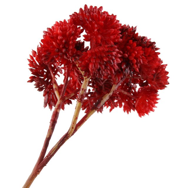 Artificial Rice Seed Fruit Flower Rustic Fake Flower Wedding floral decor artificial Party Floral Decor Home Ornament, Red