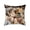 A, variant on Fasiaou Cat Pattern Throw Pillow Covers Decorative Outdoor Soft Pillowcases Home Decor Living Room Cushion Case for Bed Couch Car 18x18 Inch,B