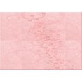 thumbnail image 1 of Ahgly Company Tapis d'Intérieur Lavables en Machine, Rectangle de Transition Rose Corail Clair, 3' x 5', 1 of 7