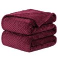 thumbnail image 1 of Unique Bargains Luxury Fleece Bed Blanket Woven Mesh, 1 of 10