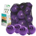 thumbnail image 1 of Bender Ball Official Club Kit (Set of 25 Purple) Original Soft 9 Inch Pilates Ball Small Exercise Ball for Barre Yoga Stability Abs Core Physical Therapy - Mesh Bag Instructions Videos, 1 of 5