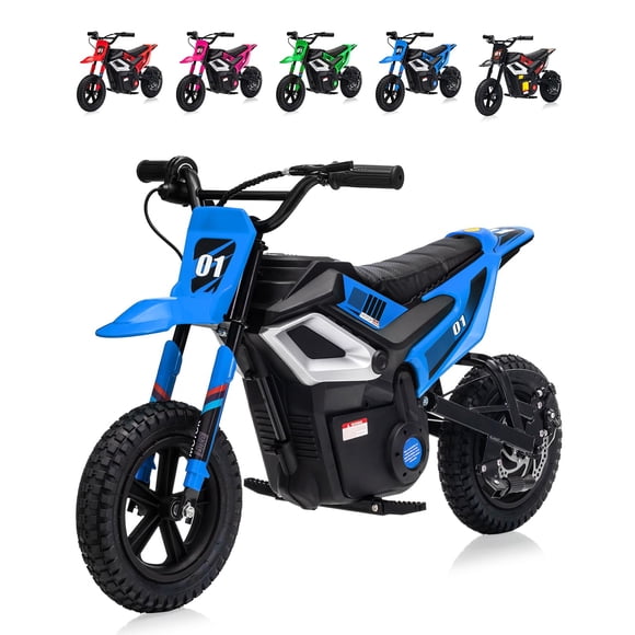 Electric Dirt Bike for Teens, 12" Fat Tire 350W Electric Motorcycle with 24V Battery, 14MPH Top Speed, 130 LBS Max Load, Mini Dirtbike for Kids, Mountain Off-Road Bike Fit Age 10+