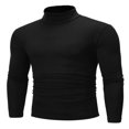 thumbnail image 1 of Chandail à Col Roulé pour Hommes, Tricoté, Haut, Chandail, 1 of 5