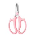 thumbnail image 1 of Floral Scissors for Gardening - Stainless Steel Garden Shears for Pruning Flowers, Flower Arrangement, Plants Trimming and Shaping - Non-Slip Handle, Compact Hand Pruners, 1 of 2