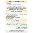 thumbnail image 3 of Lucky Masala Herbe de Chine (Saveur Caramel Écossais) [Paq. de 5], 3 of 6