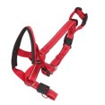 thumbnail image 2 of Dog Head Harness, Dog Head Collar Humanized Design Pressure Relief Breathable Adjustable Strap  For Camping Orange,Blue,Red, 2 of 8