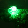 thumbnail image 3 of LED Night Fishing Light, 12V Underwater Submersible Marine Boat Green Lamp Fishing Accessory Underwater Fishing Light Outdoor LED Submersible for Sea Boat, 3 of 7