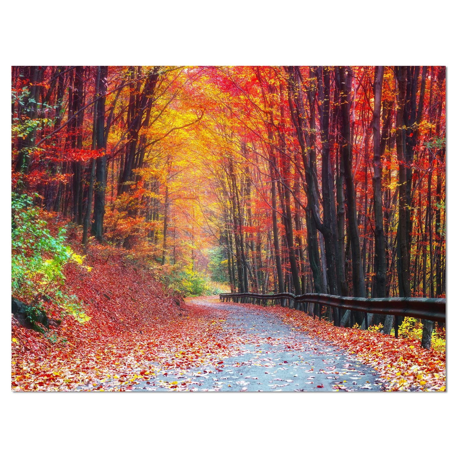 Designart Route dans la belle forêt d'automne Art mural sur toile